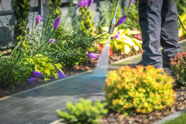 Best Gutter Cleaning  in Pottsboro, TX