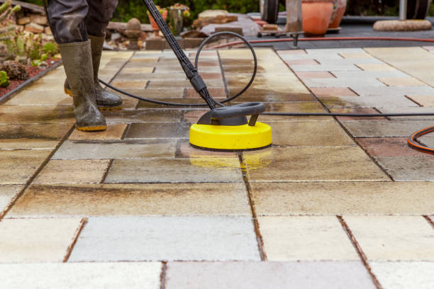 Animal Enclosure Cleaning in Pottsboro, TX